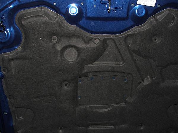 GT Appearance Package - Engine Cover Retrofit?-07_hood.jpg