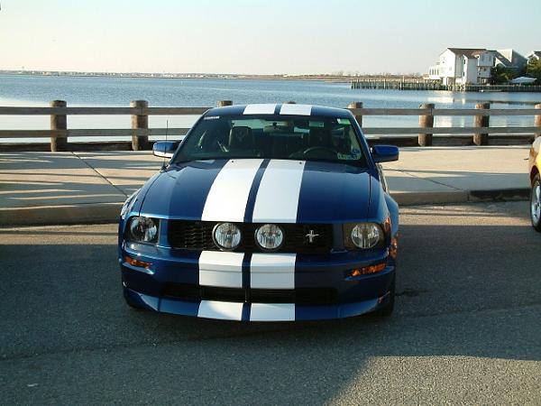 What size stripes with SSE center fog grille-njcruise06x-2-.jpg