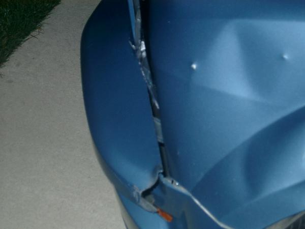 Deer Hit My Car About 1 Hour Ago 2 Blocks From My House!!!-imgp2867.jpg