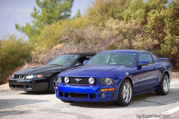 I've had my 05 Mustang GT for 2 years, here is my report.-mike_gt_05.jpg