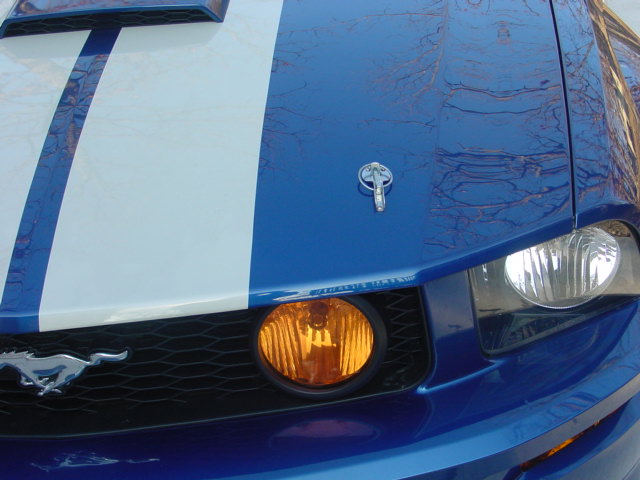 Installing Hood Pins - The Mustang Source - Ford Mustang Forums