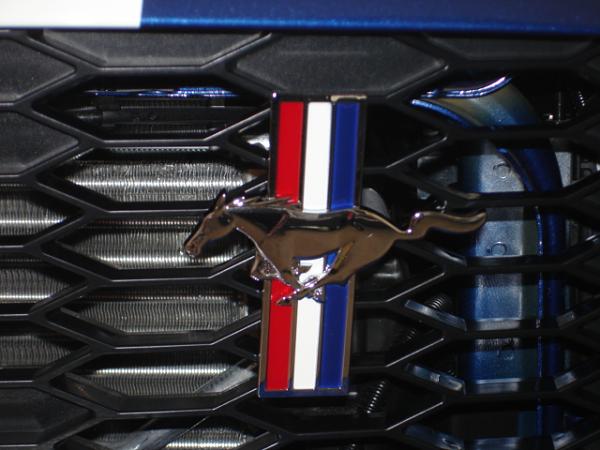 ATTN: SSE Center Foglight Grille Owners-dsc00993.jpg