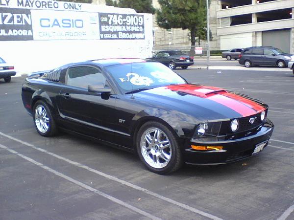 I Love My Mustang!!-1006061639a.jpg