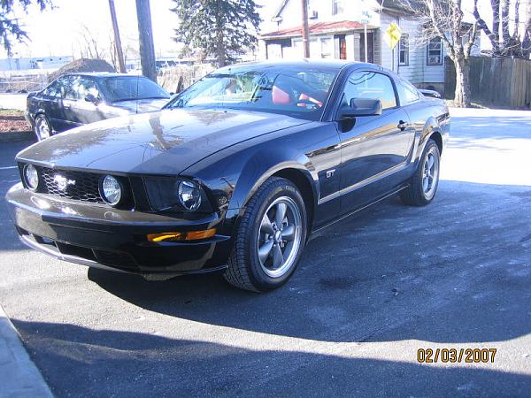 I Love My Mustang!!-stang_shop1.jpg