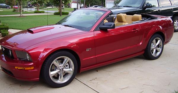 Post your spoiler delete mustangs!!!  :D-8-21-2006-8.421-pm-new-stang.jpg