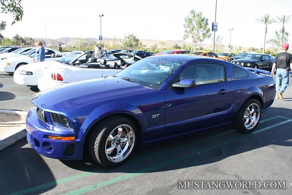 New wheels BUT Frustration beware the cheap deal!-mustangworld_pics_117_jpg.jpg