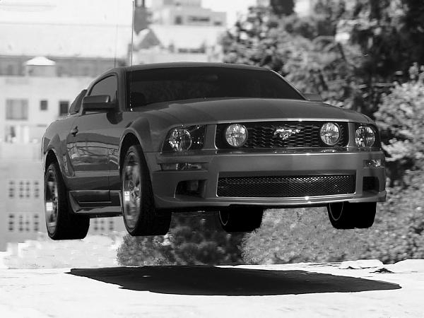 Photoshop Fun-mustang5.jpg