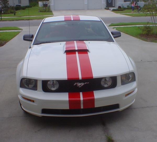 Color Scheme Help-dsc000832.jpg