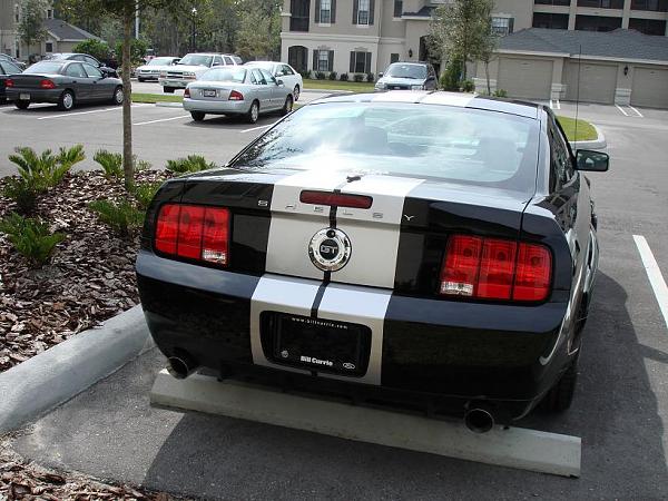 Any TMS Members With Factory NAV In Their Stangs Yet?-shelby-03-.jpg