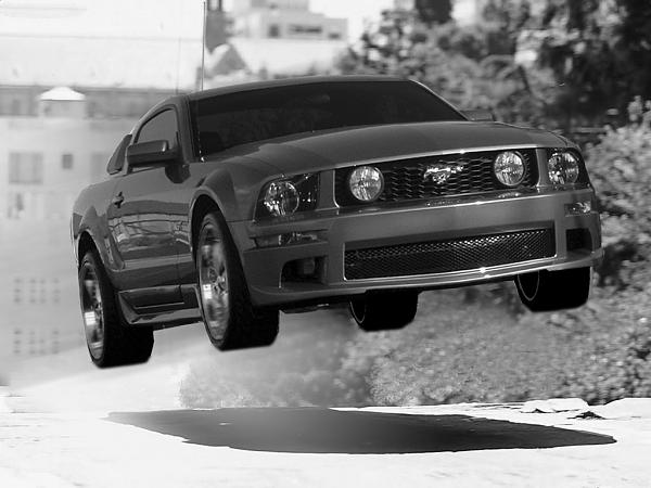 Photoshop Fun-mustang5-copy.jpg