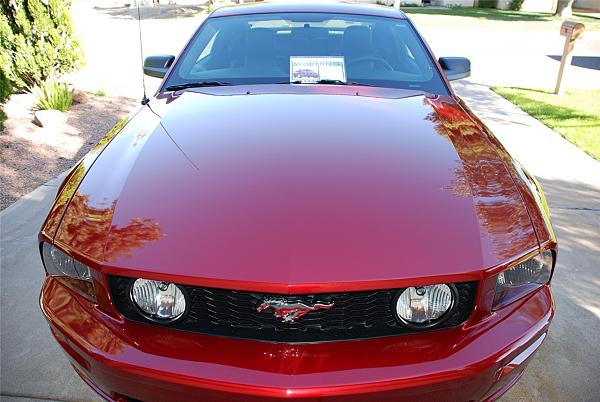 top FORD SALES analyst says that new MUSTANG-58.b.jpg