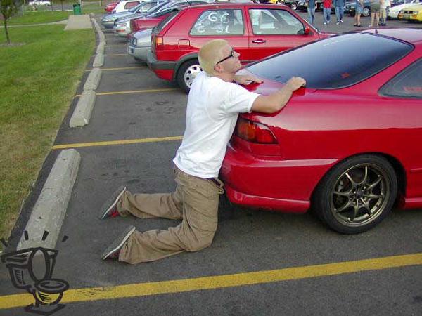 Mustang Love-happyhonda.jpg