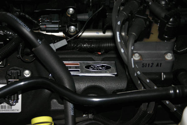 Engine bay emblems-img_2529.gif
