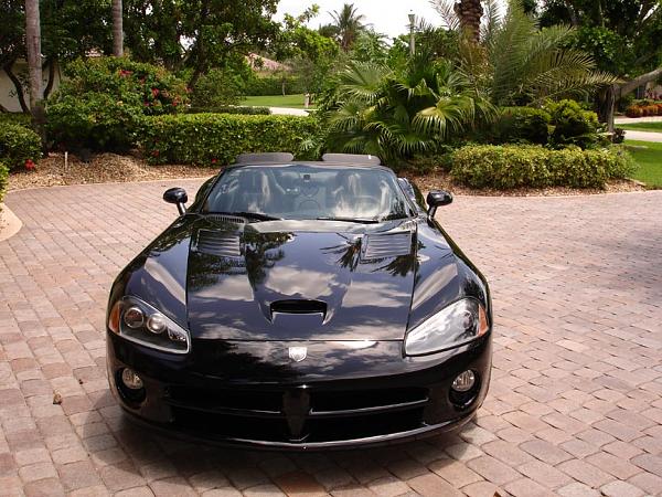 I've HAD IT!!!-viper3.jpg