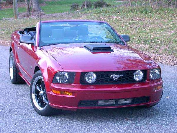 05 Stangs ~ Lets see them-pdrm1570.jpg