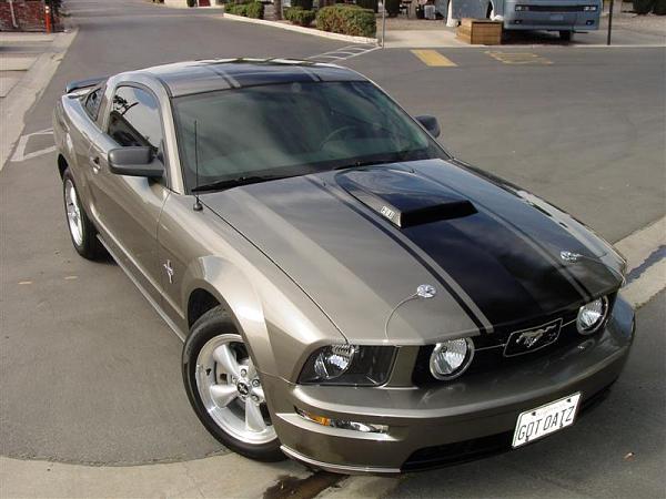 05 Stangs ~ Lets see them-stripeson-013-medium-.jpg