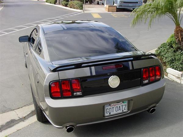 05 Stangs ~ Lets see them-stripeson-015-medium-.jpg