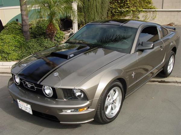 05 Stangs ~ Lets see them-stripeson-023-medium-.jpg