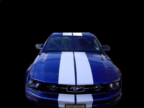 Your reason for buying a V6 instead of a GT.-my06stangstripedcustom.jpg