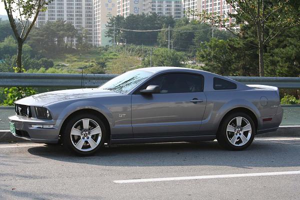 Calling non US Stangs-img_0062z.jpg