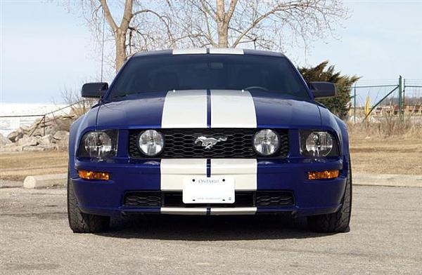 I got "THE" Call-stripes-10-3.4-wide-1inch-gap-.jpg