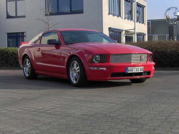 Calling non US Stangs-germany.jpg