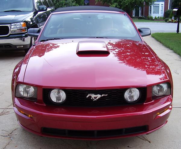 If you have a flashy mustang...-8-21-2006-8.41-pm-new-stang.jpg