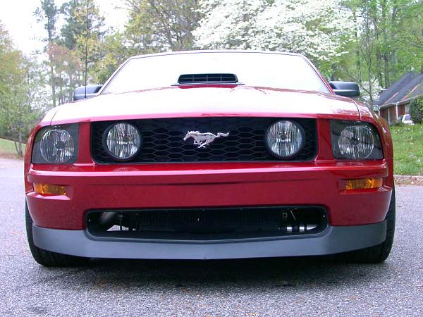DG Custom Auto Replica Shelby Spoiler-pdrm1683.jpg