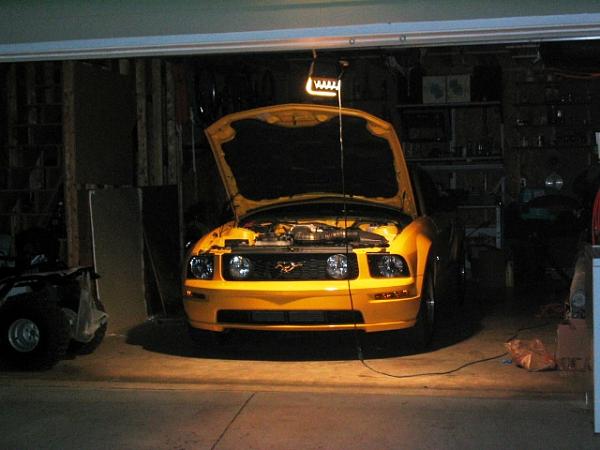 Post **PICS** of Your Mustang in Your Garage-img_0093.jpg