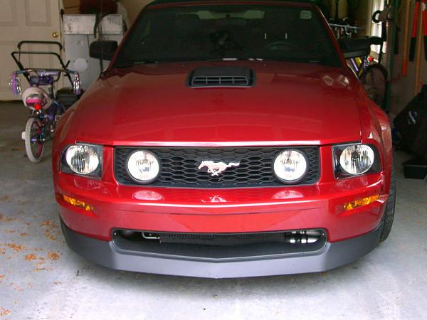 Post **PICS** of Your Mustang in Your Garage-pdrm1688.jpg