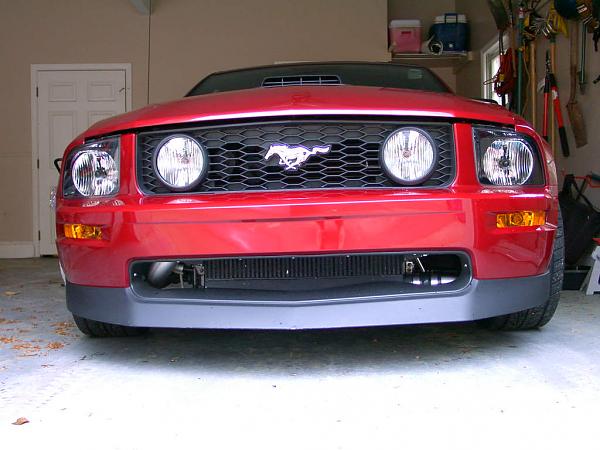 Post **PICS** of Your Mustang in Your Garage-pdrm1687.jpg