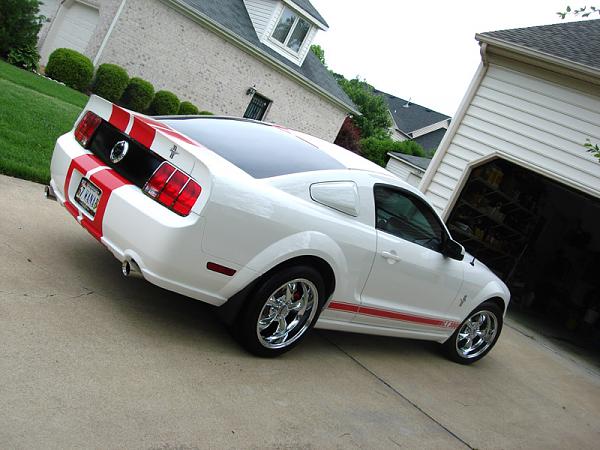 1/4 window scoops-raz2.jpg