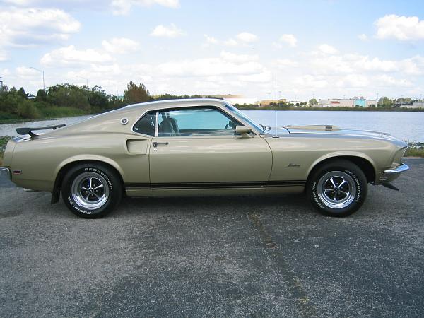 Which type of Mustang owner are you?-118_1854.jpg