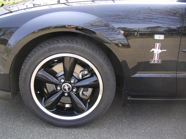 Calling non US Stangs-small5.jpg