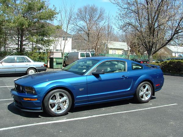 Took some current pics. Lowered and chin spoiler.-dscf01150004.jpg