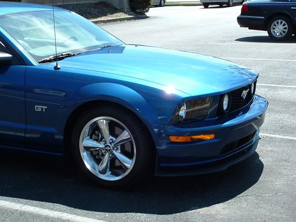 Took some current pics. Lowered and chin spoiler.-dscf01210006.jpg