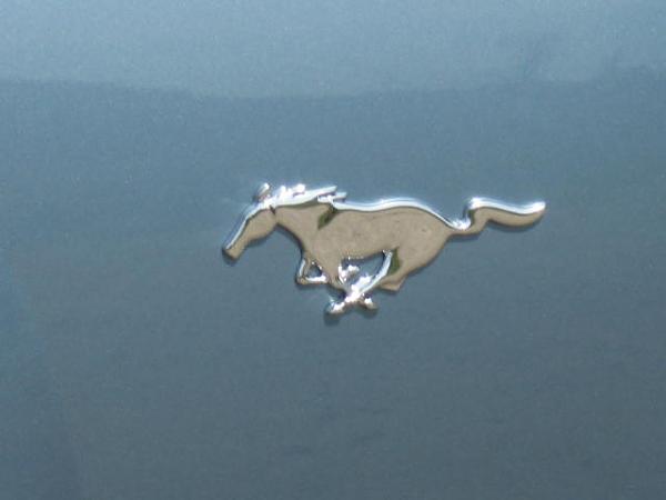 2 new 07 Stangs in my garage!-img_0001.jpg