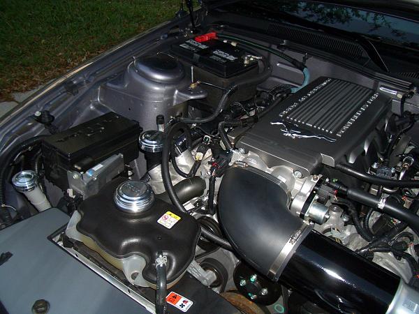 Let's see those engine bays-cimg1275.jpg