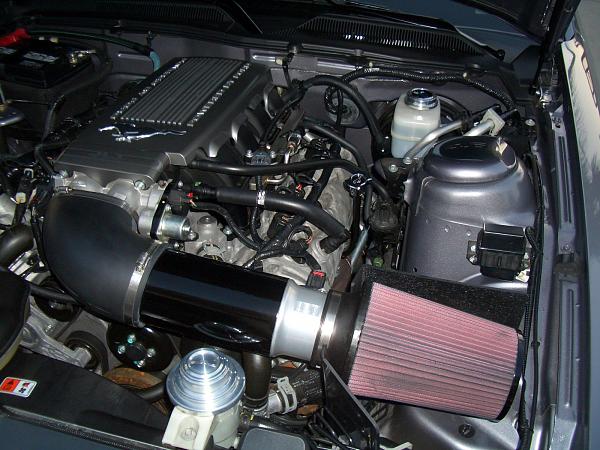 Let's see those engine bays-cimg1276.jpg