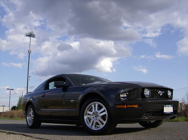 Conflicted: Black v Alloy-stang7.jpg