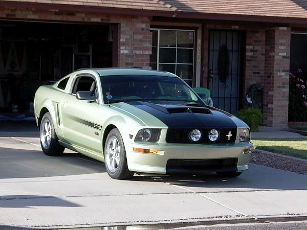 Do most Mustang GT's get modded their 1st year-p1010477.jpg