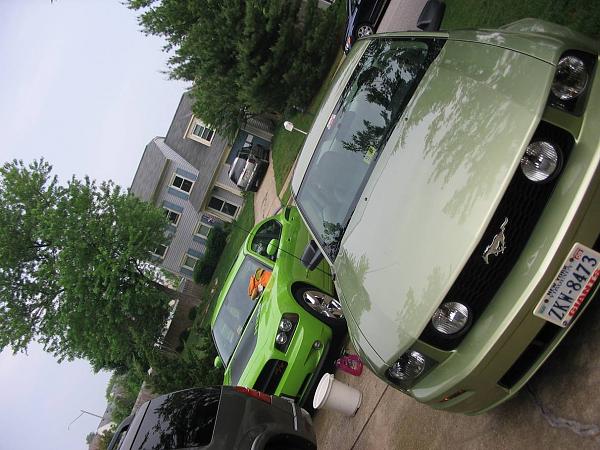 New Addition to  Family on Mother's Day-charger1.jpg