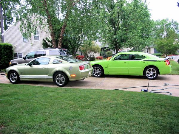 Open Letter to Charger SRT8 Driver...-mustang_charger1.jpg