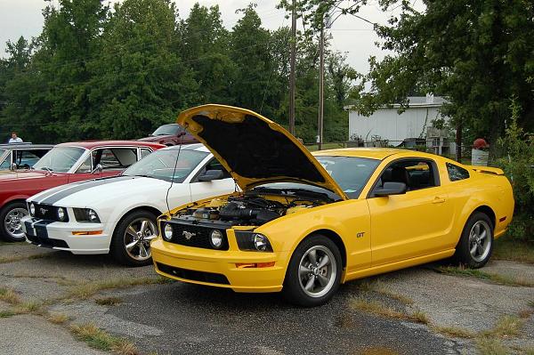 Lets see a picture of yours in action-dsc_0072.jpg