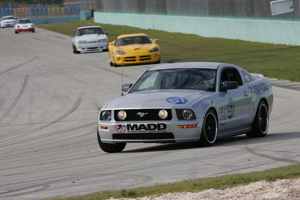 Lets see a picture of yours in action-pbochomesteaddec.jpg