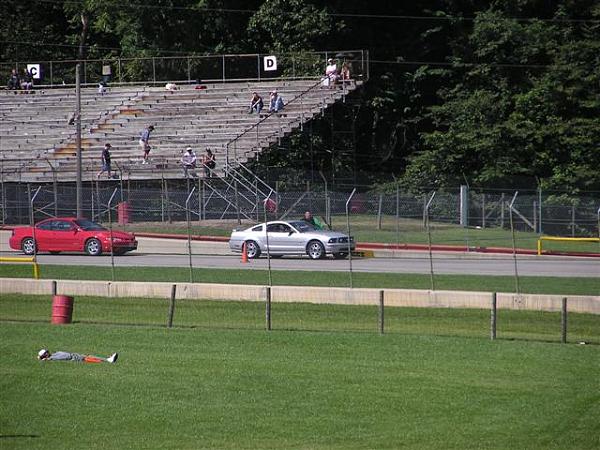 Lets see a picture of yours in action-p8285392-small-.jpg