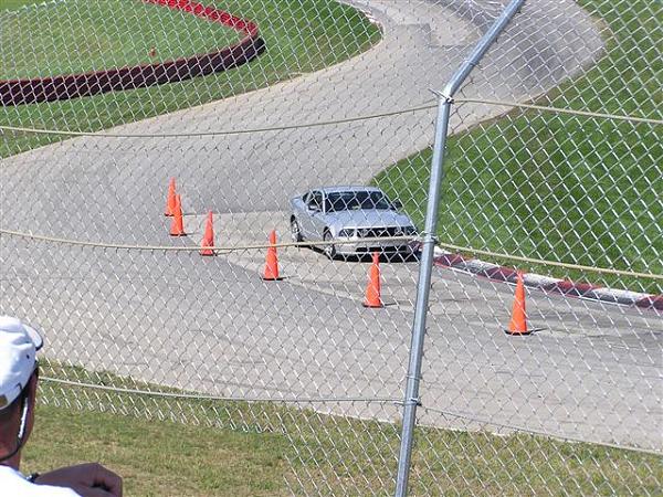 Lets see a picture of yours in action-p8285393-small-.jpg