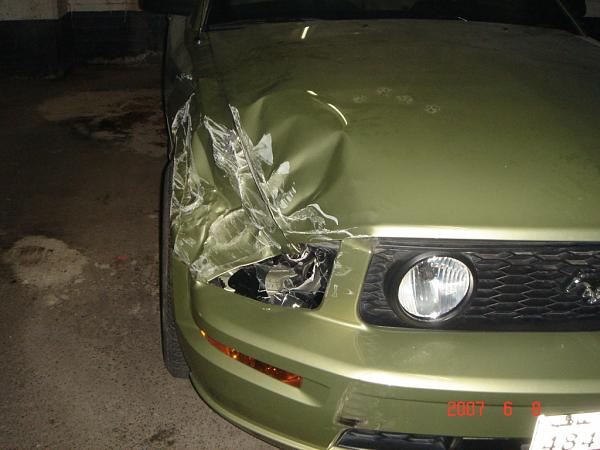 Idiot ran a red a wrecked my baby !!-cat.jpg