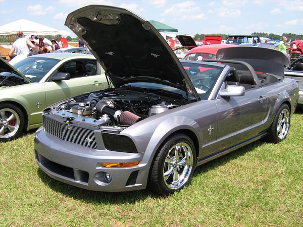 Vert Pics Needed-fof-show5.jpg