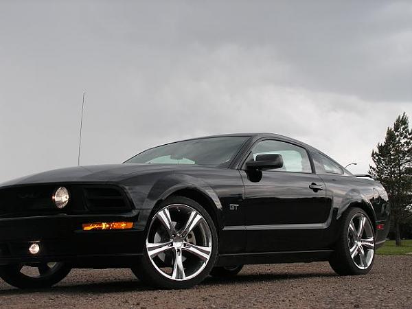 Agent 47 ram air/grill install pics-car-dog-010.jpg